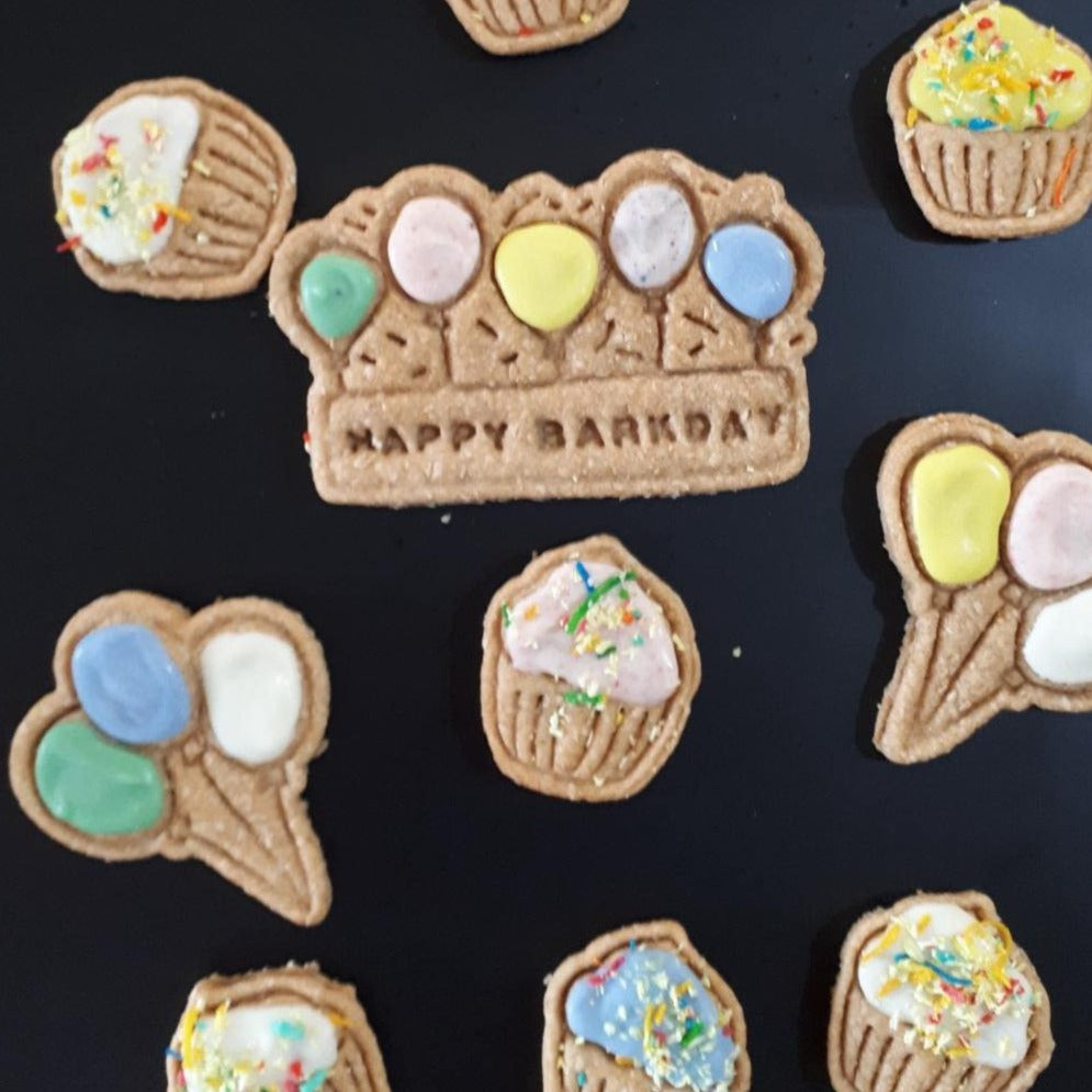 Dog Birthday Treat