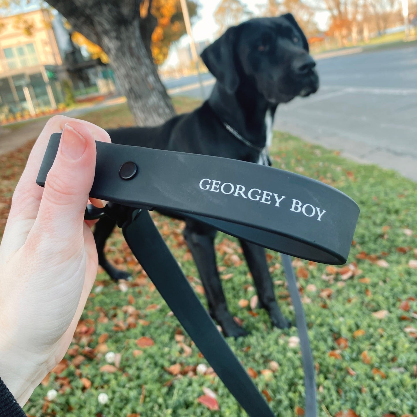 Silicone Dog Leash