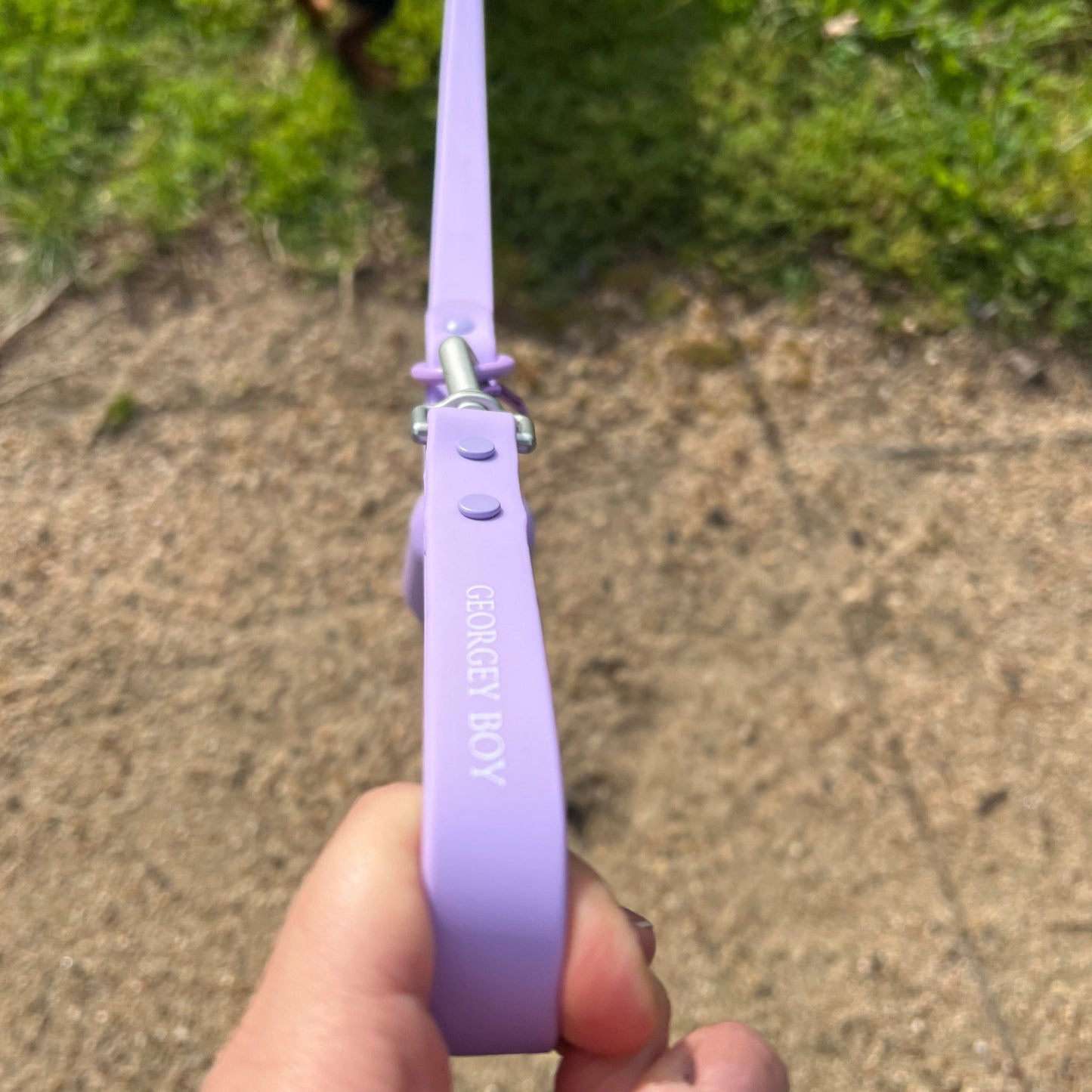 Lilac dog lead