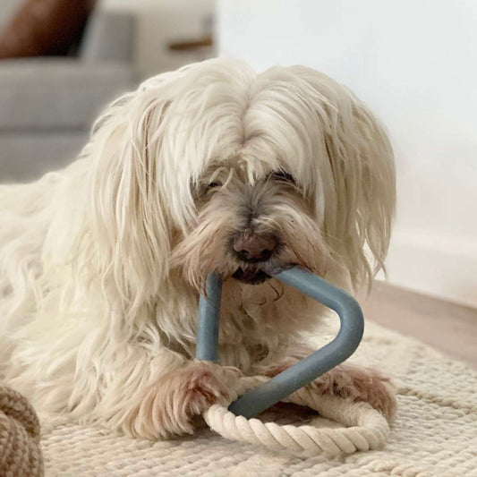 Navy Dog rope pull toy triangle