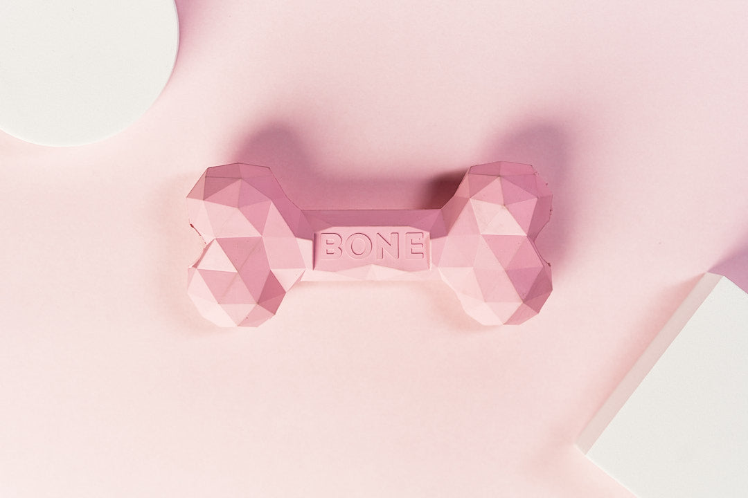 Dog Bone Toy Strong with holes