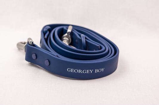 Navy Silicone Dog Leash