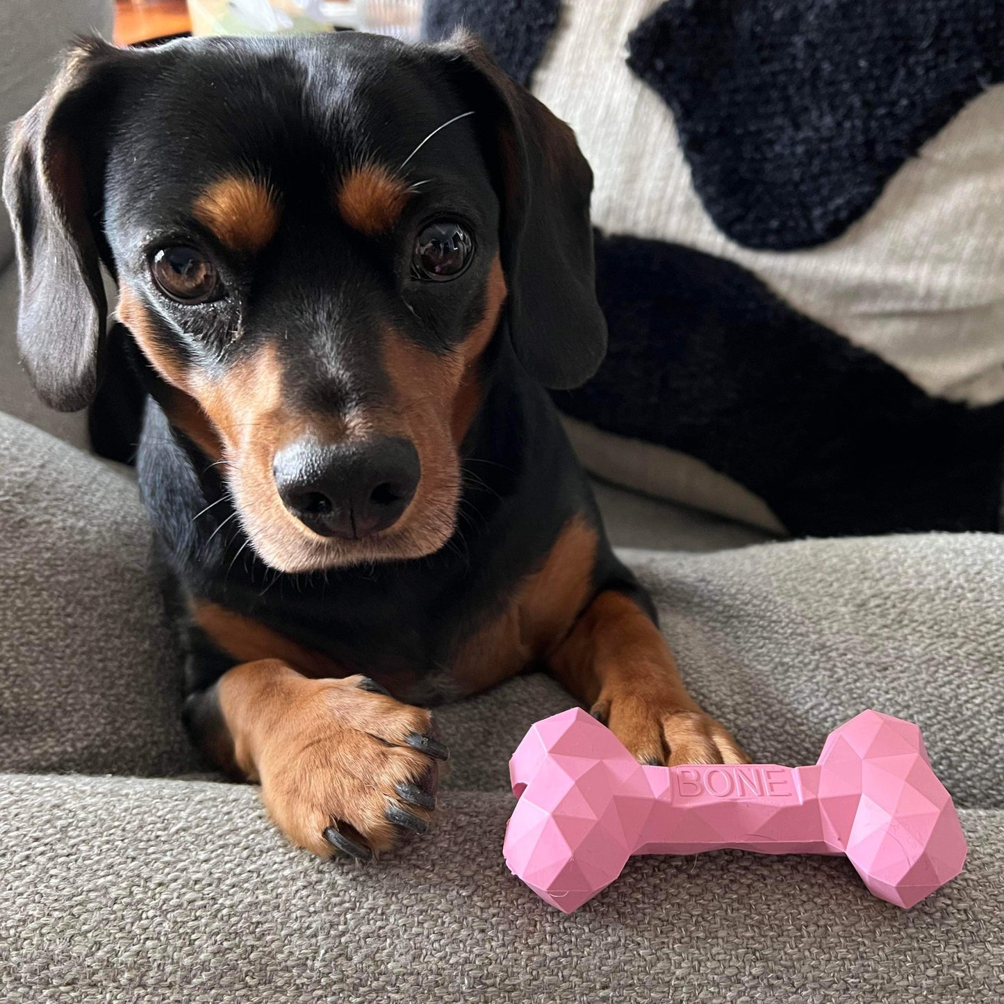 Dog Bone Toy Strong with holes