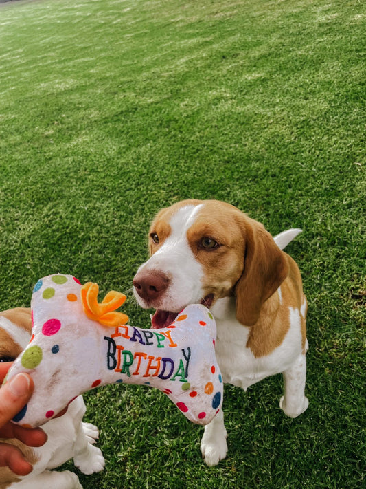 Birthday Bone