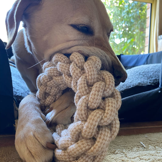 Strong Dog Rope Toy Round