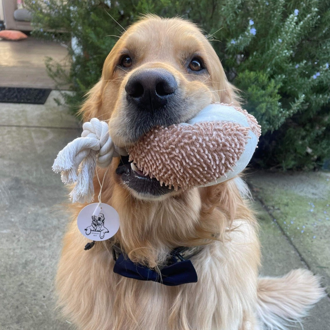 Plush Dog Toy Rope